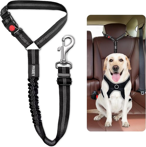 Dog seat belts for cars - dog,