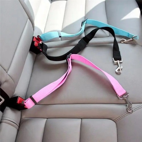 Dog cat safety - dog, seat