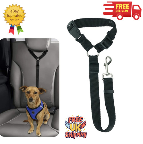 Dog cat car - belt, lead