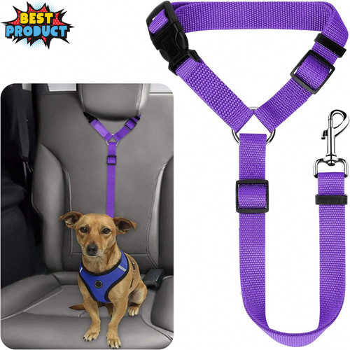 Dog cat safety - seat, belt