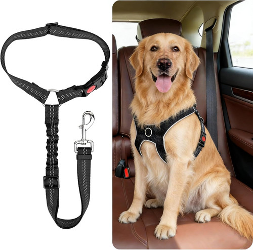 Dog seat belts for - seat,