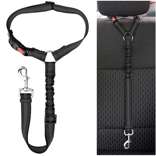 Headrest anti shock pet - shock, dog