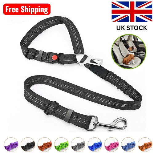 Pet dog seat - dog, safety