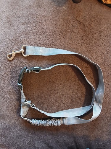 Dog car head rest seat - dog, belt
