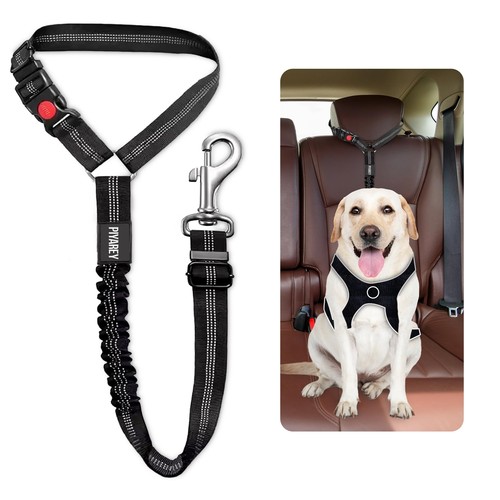 Dog seat belts for cars - seat,