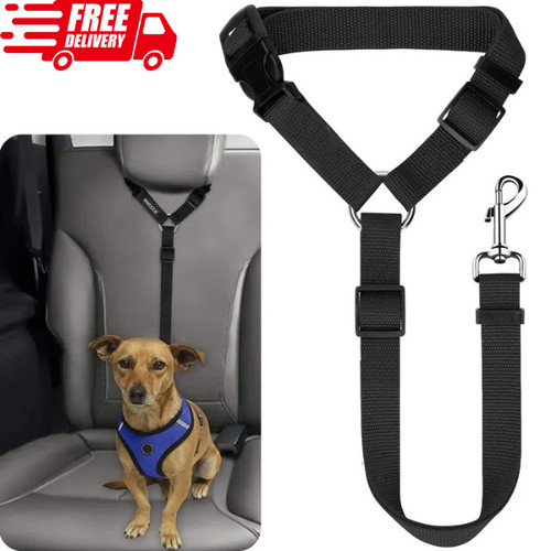 Headrest pet dog - pet, shock
